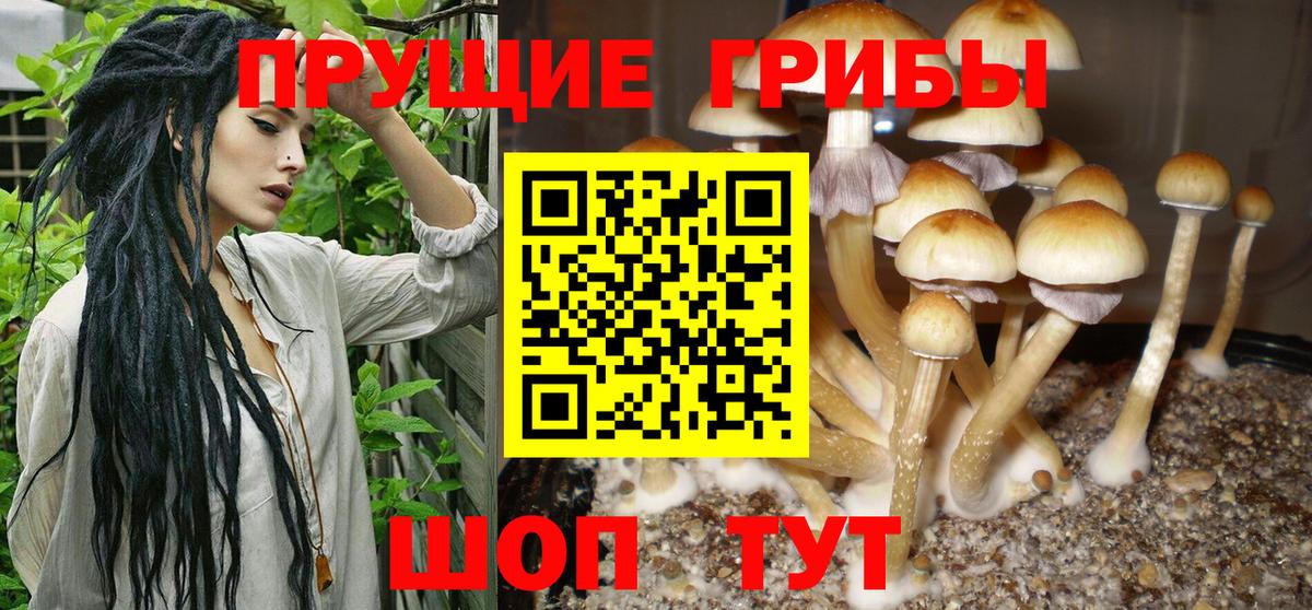 Галлюциногенные грибы GOLDEN TEACHER Биробиджан