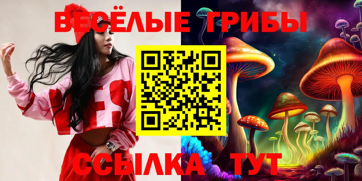 Псилоцибиновые грибы GOLDEN TEACHER  Вход с VPN  Биробиджан 